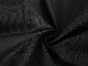 PEGASUS_d_002.15.webp