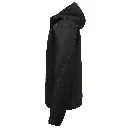 PEGASUS_d_ps_001.04.webp